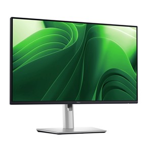 Dell Flat Panel 24" P2425D